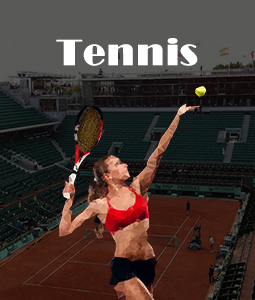 French Open-1st Round | Day 2 | Evening Session Ticket prices and ticket booking